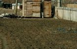 Дома, дачи, коттеджи - Алтайский край, Яровое, СНТ Химик-1 фото 8