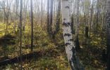 Земельные участки - Иркутская область, Саянск, проезд Лесной фото 1