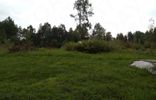 Земельные участки - Карелия, Суоярви, садоводческое товарищество Медик фото 2