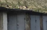 Гаражи, машиноместа - Кабардино-Балкария, Тырныауз, городское поселение Тырныауз, микрорайон Тотур фото 2