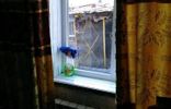 Дома, дачи, коттеджи - Забайкальский край, Краснокаменск, садоводческое общество, Энтузиаст фото 11