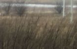 Земельные участки - Калининградская область, Зеленоградск, п Сосновка, о. фото 5