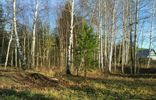 Земельные участки - Московская область, Ликино-Дулево, Авсюнино, садоводческое товарищество Берёзка фото 5
