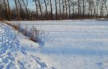 Коммерческая недвижимость - Амурская область, Белогорск, с Низинное фото 4