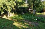 Дома, дачи, коттеджи - Московская область, Куровское, садовое товарищество Меланжист фото 4