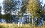 Дома, дачи, коттеджи - Карелия, Суоярви, Лоймольское сельское поселение фото 14