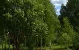 Земельные участки - Владимирская область, Струнино, садовые участки Калинка, 55 фото 4