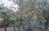 Дома, дачи, коттеджи - Омск, р-н Центральный, садоводческое некоммерческое товарищество Сатурн Верхний, 1-я аллея, 124 фото 5