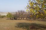 Земельные участки - Черкесск, садовое товарищество Знаменка, Прикубанский р-н фото 7