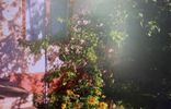 Дома, дачи, коттеджи - Алтайский край, Бийск, садоводство Берёзка, Цветочная ул, Бийский р-н фото 4