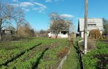 Дома, дачи, коттеджи - Брянская область, Фокино, садоводческое товарищество Мичуринец 8 фото 1