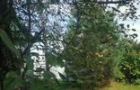 Дома, дачи, коттеджи - Иркутская область, Ангарск, Второй промышленный массив, г. о., СНТ Сибирская Вишня, Ангарский фото 13