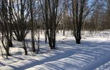 Земельные участки - Владимирская область, Струнино, 17Н-101 фото 3