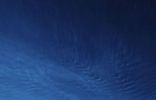 Земельные участки - Санкт-Петербург, р-н Приморский, ул Нижняя, 1с/1, садоводство ЛВС Ленэнерго, аллея фото 16