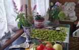Дома, дачи, коттеджи - Калужская область, Балабаново, садоводческое некоммерческое товарищество Солнечная Поляна фото 15