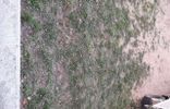 Земельные участки - Алтайский край, Яровое, г. о. Яровое, садоводческое некоммерческое товарищество Химик-1 фото 1