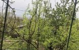 Дома, дачи, коттеджи - Дагестан, Буйнакск, садовое некоммерческое товарищество Медик фото 13