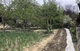 Дома, дачи, коттеджи - Дагестан, Буйнакск, садовое некоммерческое товарищество Медик фото 23