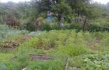 Дома, дачи, коттеджи - Биробиджан, г. о. Биробиджан, садово-огородное товарищество № 5 фото 8