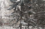 Квартиры - Башкортостан, Учалы, ул Строительная, 11 фото 6