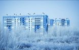 Квартиры - Челябинская область, Троицк, мкр. 5, жилые дома фото 1