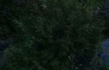Дома, дачи, коттеджи - Самара, дачный массив Чёрновское водохранилище, 5-я линия, Волжский р-н, г Тольятти, СДТ Урожай фото 1
