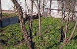 Дома, дачи, коттеджи - Вологодская область, Череповец, Северный, садовое товарищество ЧМК-1, 2 фото 21