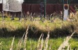 Земельные участки - Владимирская область, Струнино, коттеджный пос. Александровский сад фото 40