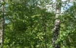 Земельные участки - Калужская область, Ермолино, дачное некоммерческое товарищество Соцарм-1 фото 2