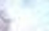 Земельные участки - Ленинградская область, Никольское, городское поселение, садоводческий массив Захожье, р-н Гатчинский, Никольское фото 2