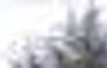 Земельные участки - Ленинградская область, Никольское, городское поселение, садоводческий массив Захожье, р-н Гатчинский, Никольское фото 6