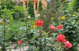 Дома, дачи, коттеджи - Крымский полуостров, Саки, садоводческий потребительский кооператив Весна фото 2