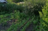 Земельные участки - Челябинская область, Вишневогорск, Юбилейный сад фото 3