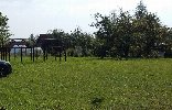 Дома, дачи, коттеджи - Владимирская область, Кольчугино, снт Кабельщик-5 фото 5