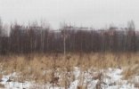 Земельные участки - Ленинградская область, Янино-1, Янино фото 1