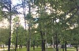 Квартиры - Москва, р-н Аэропорт, Ленинградский проспект, к6, 6 фото 2