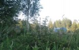 Земельные участки - Московская область, Истра, г Истра, деревня Карасино фото 3